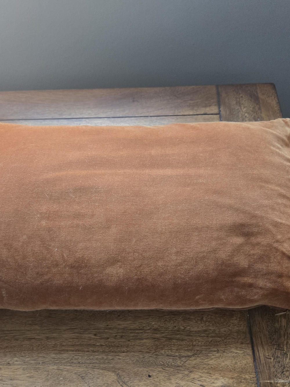 Source Unknown Rust Orange Velvet Lumbar Pillow